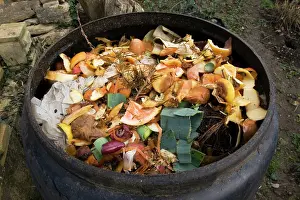 Compost: Compost - variety of kitchen waste including vegetable