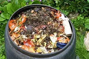 Visible: Compost / wormery - worms visible amongst variety