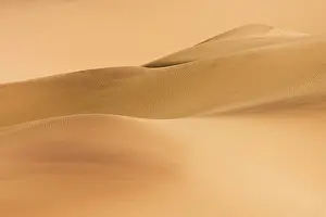 Belt: Compressed Perspective of the Big Namib DunesEastern