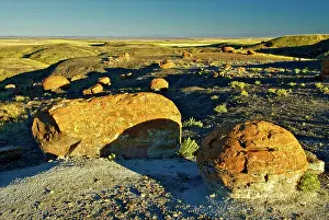Concretions: Concretions Litter Badlands