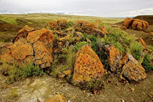 Concretions: Concretions Litter landscape, Red Rock Coulee