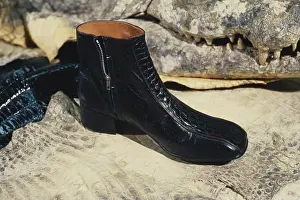 Illegal: Confiscated Alligator-skin Shoe