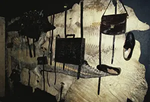 Shelf: Confiscated Crocodile Products