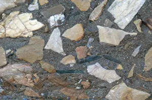 Cement: Conglomerate in Death Valley