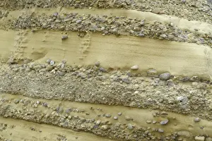 Lobos: Conglomerate Rock