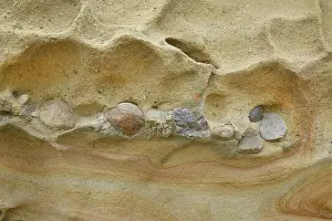 Lobos: Conglomerate Rock