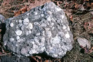 Pebbles: Conglomerate Rock