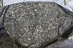 Conglomerate: Conglomerate Rock
