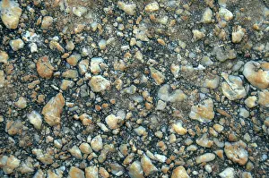 Cement: Conglomerate Rock