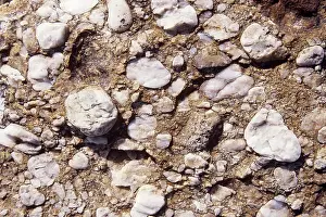 Conglomerate: Conglomerate Rock