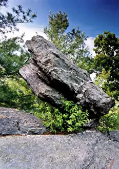 Matrix: Conglomerate Rock Formation