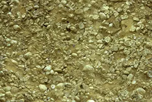 Pahang: Conglomerate rock, Malaysia