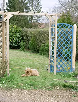 Constructed: Construction of a pergola in a garden