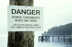 Shellfish: Contaminated Water