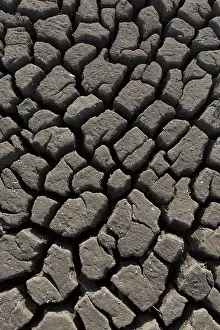 150419: Contraction cracks in a dry cut off part of a lake - Germany