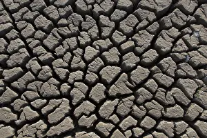 150419: Contraction cracks in a dry cut off part of a lake - Germany