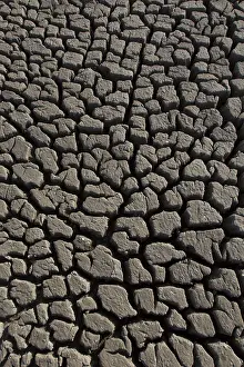 Cracked: Contraction cracks in a dry cut off part of a lake - Germany