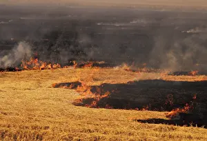 Burning: Controlled Burn