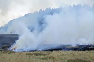 Burning: Controlled Burn of Pasture