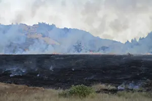 Burning: Controlled Burn of Pasture