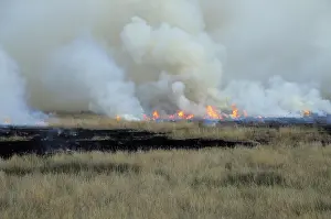 Burning: Controlled Burn of Pasture