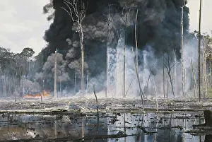 Fumes: Controlled Burn of Seepage Oil, Indonesia