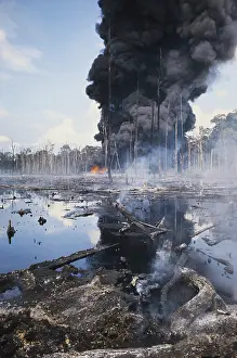 Fumes: Controlled Burn of Seepage Oil, Indonesia
