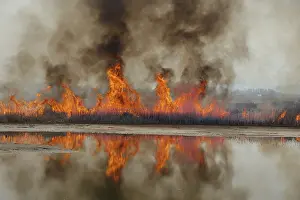 Burning: Controlled Marsh Fire