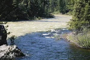 Confluence: Converging Rivers in Montana