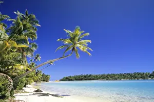 Palm: Cook Islands, dream beach, palm beach, Aitutaki