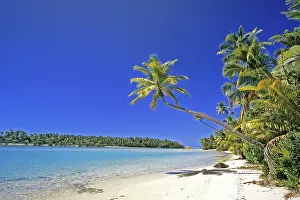 Palm: Cook Islands, dream beach, palm beach, Aitutaki