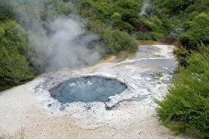 Maori: Cooking Pool - in Maori Ngararatuatara was used