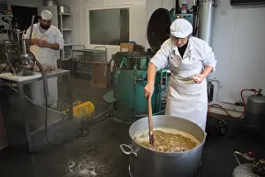 Aliments: Cooking and preparation of various parts of Ducks