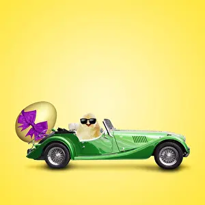 280219: Cool Chick driving car with large Easter egg