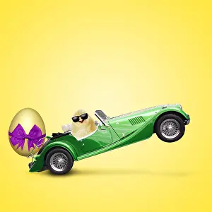 280219: Cool Chick driving car with large Easter egg