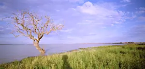 Innamincka: Coongie Lake Innamincka Regional Reserve