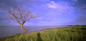 Innamincka: Coongie Lake, Innamincka Regional Reserve, South Australia