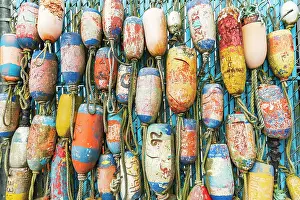 Wilson: Coos Bay, Oregon, USA. Colorful crab trap floats