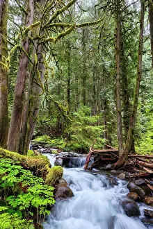 Danita Delimont: Copper Creek in Gifford-Pinchot National Forest