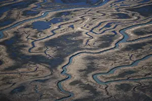Channels: Copper River Delta