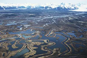 Channels: Copper River Delta