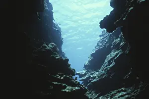 Cayman: Coral Cave