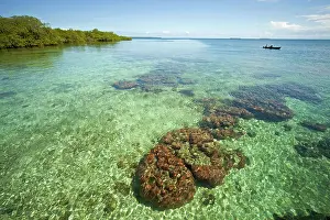 Bodies: Coral in the clear water of the small Caribbean