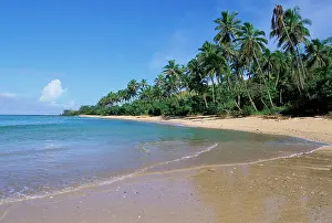 Secluded: Coral Coast, Viti Levu, Fiji