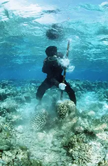 Corals: CORAL DESTRUCTION - Snorkeller destroying reef for