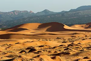 Kanab: Coral Pink Sand Dunes State Park