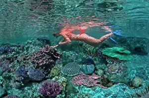 Snorkeller: Coral pool - Girl snorkeling in a coral pool in