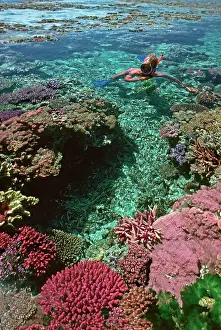 Snorkeller: Coral pool - Snorkeler in natural pool on the edge