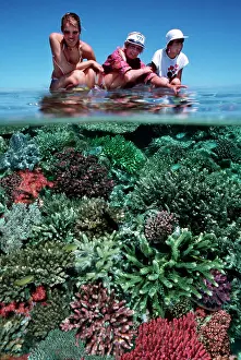 Admiring: Coral reef - Tourists admiring corals on edge of