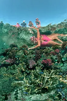 Snorkeller: Coral Reef - Tourists admiring snorkler and corals